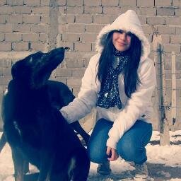 Buscando al gran amor de mi vida 3