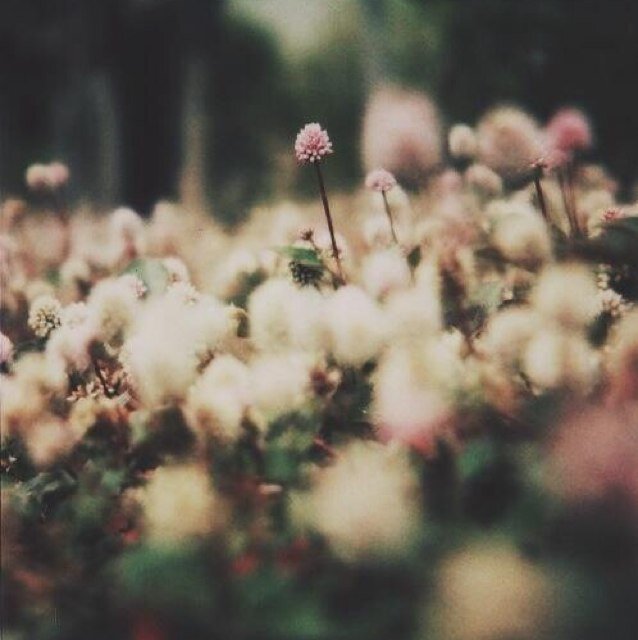 ❁ every language is full of them ❁