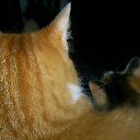 pat blackmon - @LostinHugo - Twitter