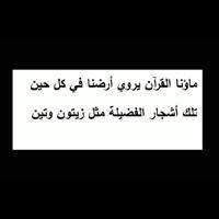 || أحاول جاهداً أن أصنع مافي مخيلتي ليصبح واقعاً || هلاليُّ .. واشربوا من ماء البحر || معتز بإنتمائي للإسلام || شكراً لكل من تابعني :)