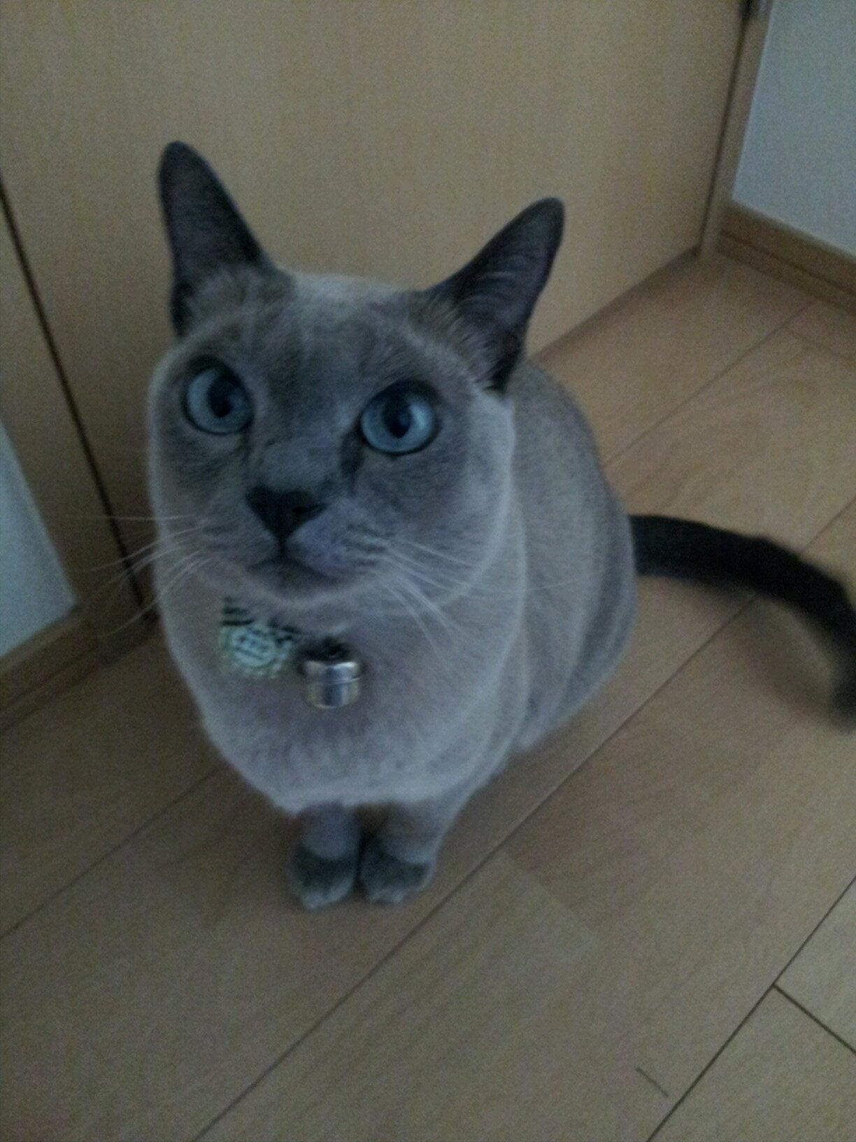 H2O_EXT's profile picture. 2022/10ブルアカ先生に
7144/MUGEN/駐車場/ゴッドハンド/基板/最大往生