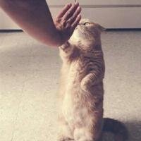 ‏‏‏‏‏‏‏‏‏‏‏‏‏‏‏‏‏‏‏‏‏‏‏‏‏‏‏‏‏‏‏‏‏‏‏‏‏‏‏‏‏‏‏‏‏‏‏‏‏‏‏‏‏‏‏‏‏‏‏‏‏‏‏‏‏‏‏‏‏‏‏‏وجوه يومئذ مسفرة ضاحكة مستبشرة .. ربي إجعلنا منهم♡