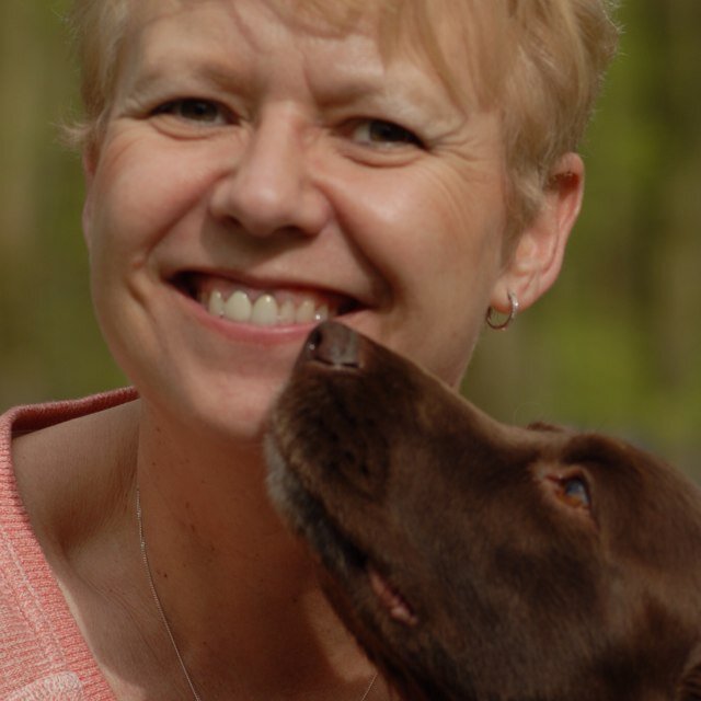 Homemaker and family first. Doglover, budding poet, historian and author.