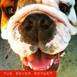 Host Inger Martens/ Smart dogs meet challenged owners. pup culture. daily life. quick tips.
#podcastone #roverreport #ingermartens #dogtraining