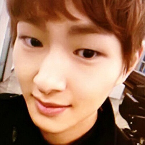 rpler of @flapjackrp/ 89liner / chicken you say?/
