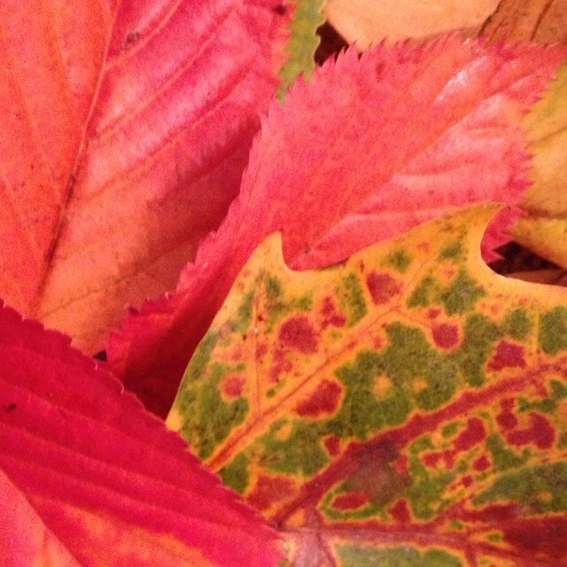 nphil110's profile picture. 