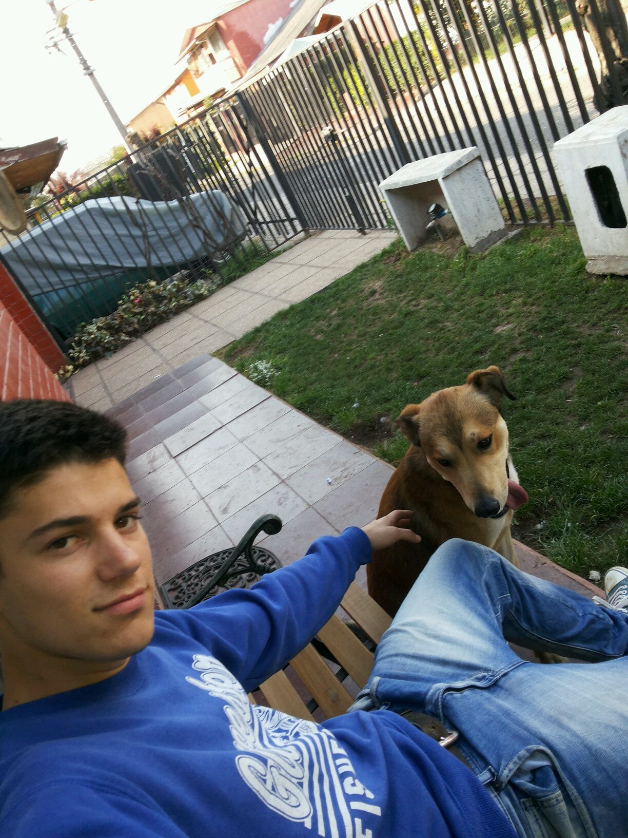 FcoSolisc's profile picture. 