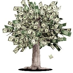 Its as easy as growing money on a tree