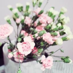 TakipÖnerilerim; @DreamSifresi ° @DreamdenRT ° @_DreamGrup_ ° @DreamGrupRT ° @DreamGrup_RT ° @DreamHatun ° @GozlukGuzeli ° @DreamRTcisi