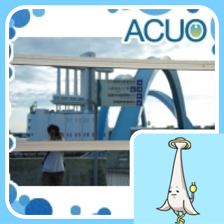 nyoro_kitaa's profile picture. よろししお願いします