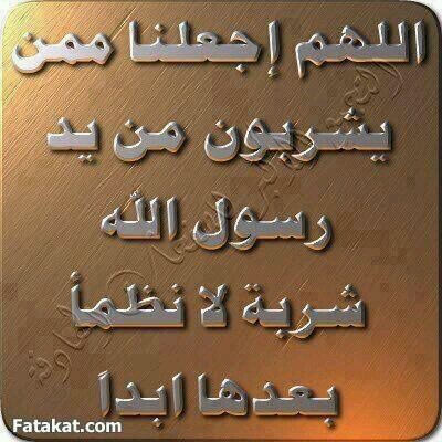 فاهم ومش فاهم