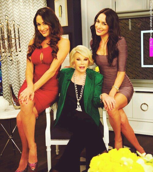 Hey im Brie 1/2 of the Bella twins RP/Single
