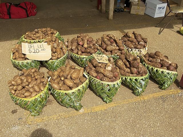 Tongan root crops available in Auckland