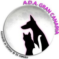 ADA Gran Canaria (@adagrancanaria) 's Twitter Profile