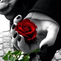 mckenzie (@mixyp) 's Twitter Profile