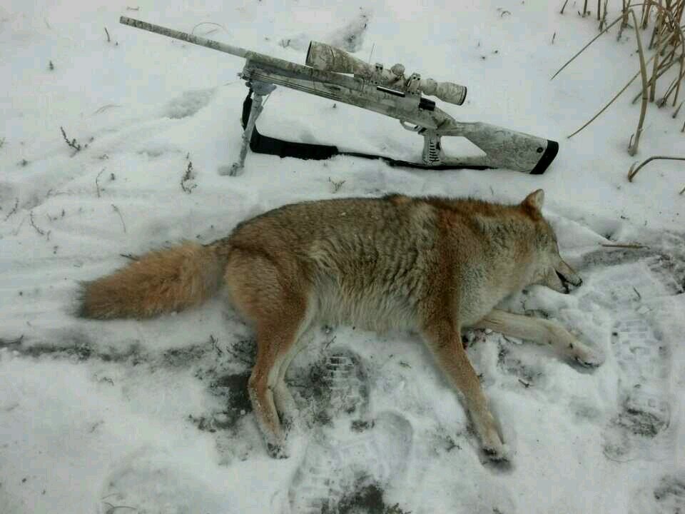 Its Both A Passion And An Obsession.....College Students/Athletes that love the Outdoors