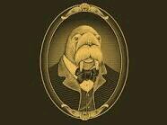 IjzerVos's profile picture. Walrus,Not a seal