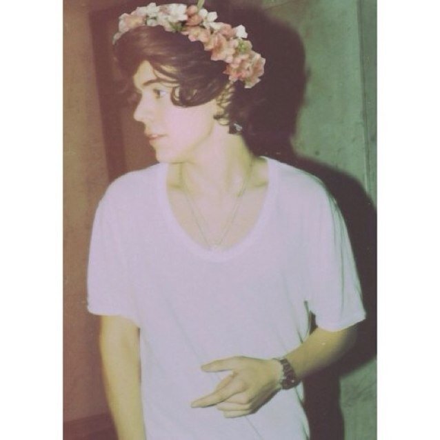 @harryblossoms_