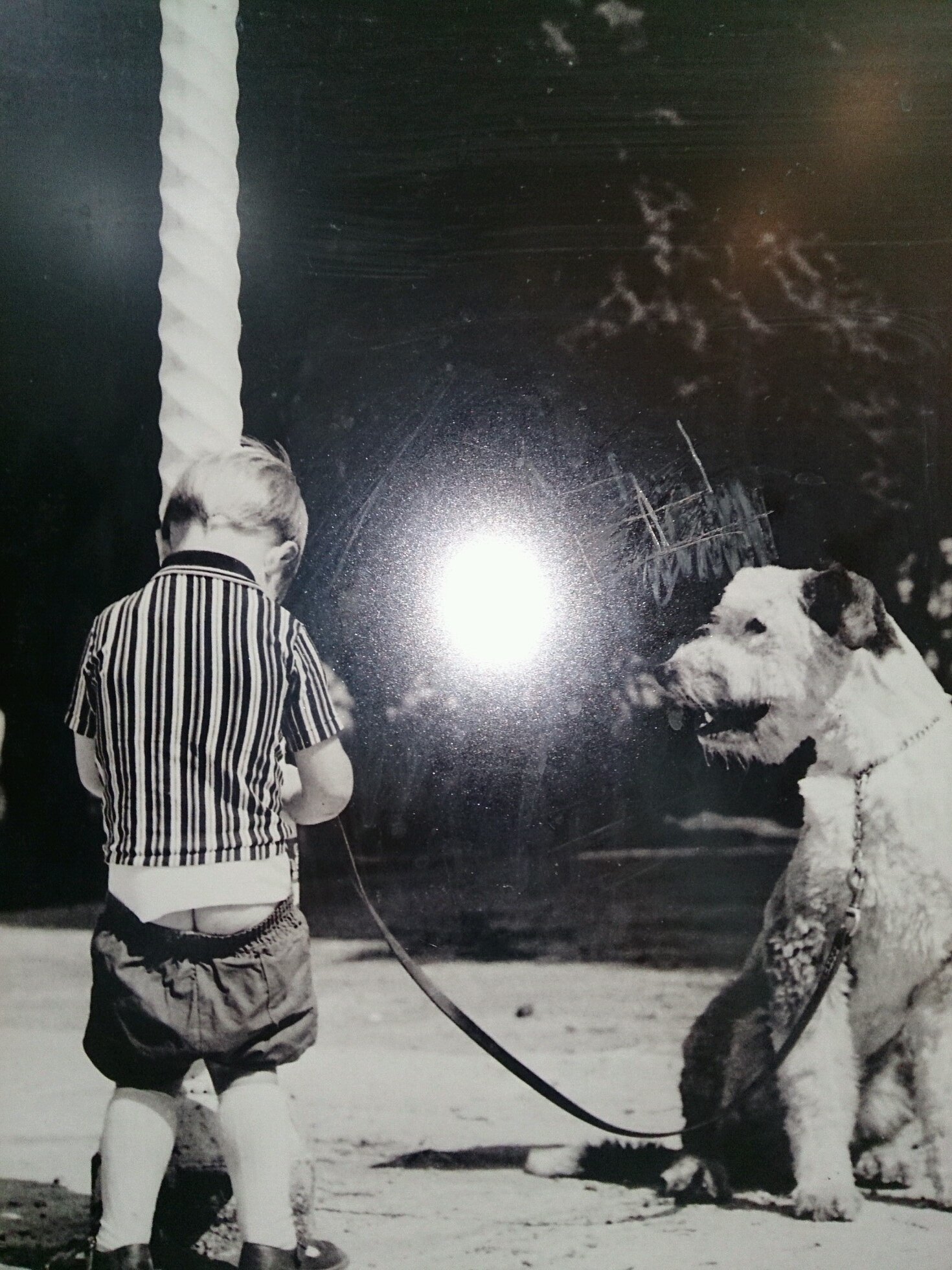 ssjs2d's profile picture. 上郷 大穂 尚志 成蹊 サッカー