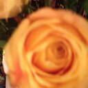 Sara. Lynn Johnson - @SLJ419 - Twitter