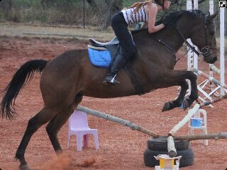 Have 1 horse (S̤̥̈̊
ε̲̣̣̣̥
ǎ̜̣̍
┅R̶̲̥̅̊
ɑ̣̣̝̇̇
ɪ̣̝̇
d̶̲̥̅̊
ε̲̣̣я̣) who knows me like no person can possibly imagine... Equine Eccentric !!! Love jumping lately!