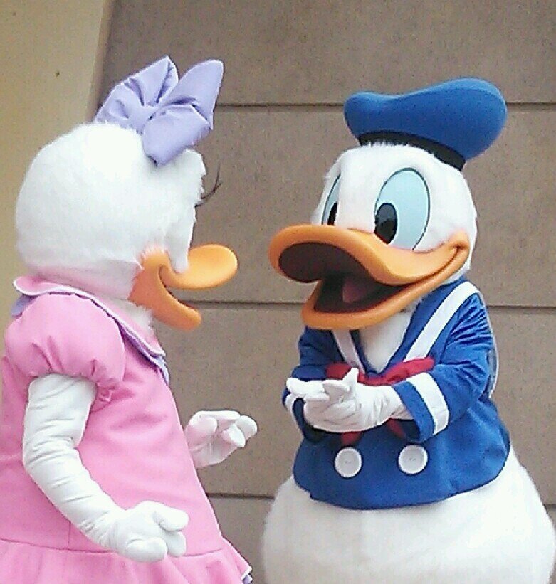 ycmm15330's profile picture. 