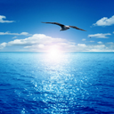 أبو بندر (@0550996836) Twitter