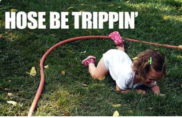 firstwo48954568's profile picture. 