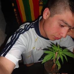 SOY  REAL NO PERFECTO