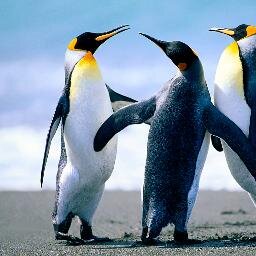 hai chillax bro...$_$