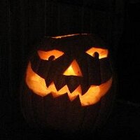 Steve F. (@backyardsage) 's Twitter Profile Photo