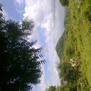 Bheru chouhan (@5Bheru) Twitter