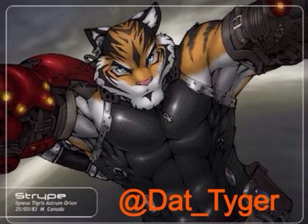 Neferian spec ops abandoned by his home world. Hero to some. Friend to a few. #AnthroTiger #MulitverseRP 21+RP