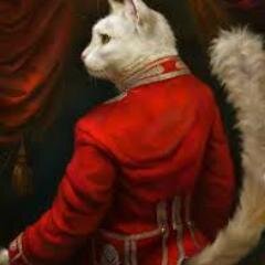 Hi all come visit the cat as we strive to tell the truth and reveal the out laws as the storeys un fold so please add me as your friend    x    ausy media cat
