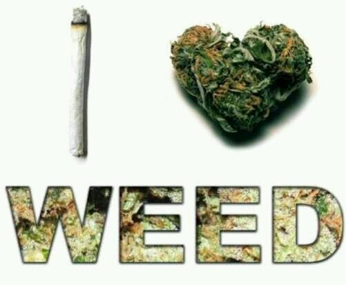 Just your average smoker. Live life. #stonernation #followback #stayhigh 18+