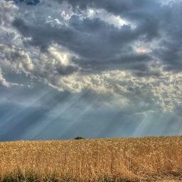 DelPmoral's profile picture. Amante de las Nuevas Técnologías en la Agricultura, Sostenibilidad y Medioambiente