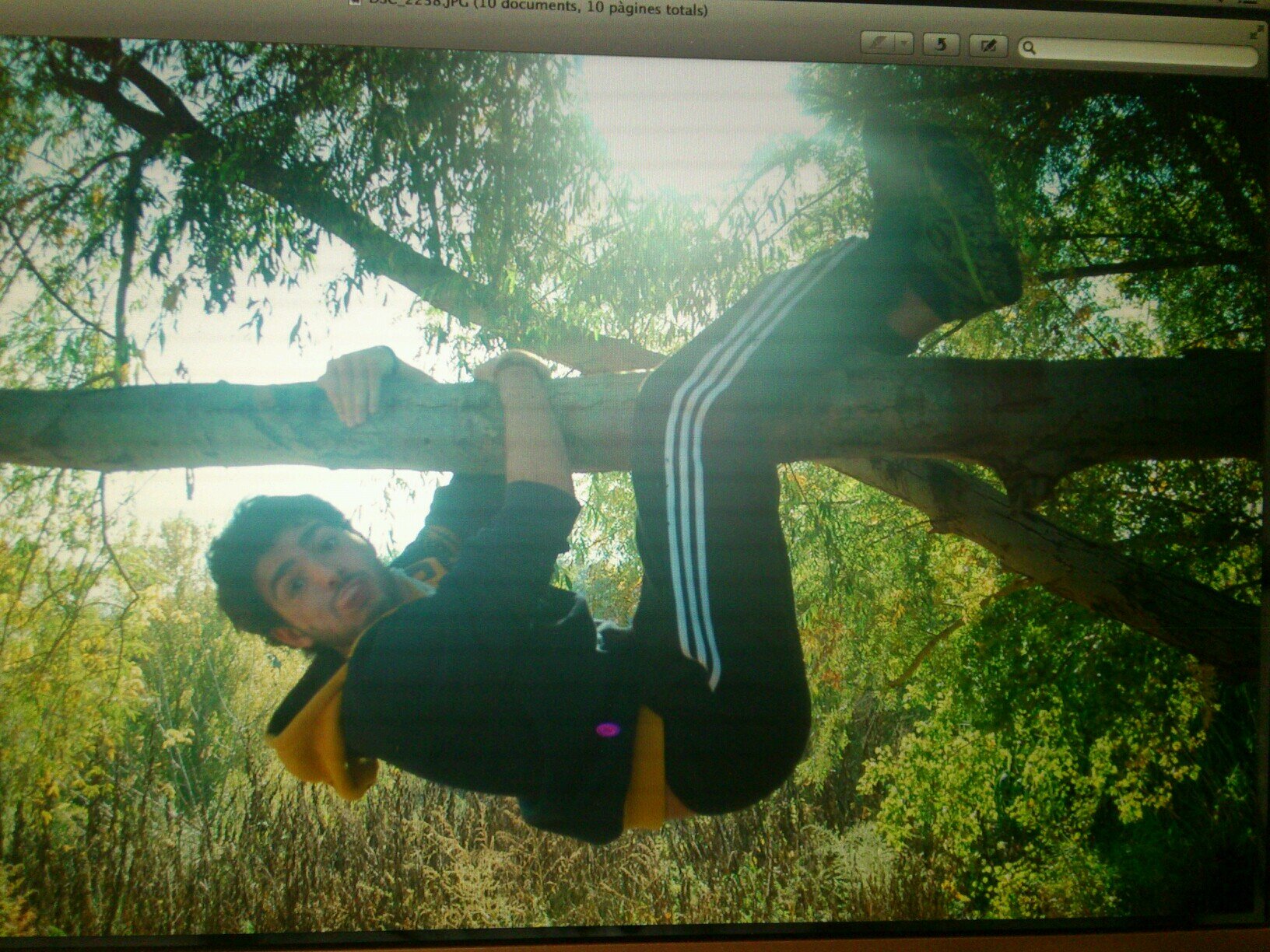 GenisFrigola's profile picture. 