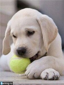 взаимный фолловинг, @axozsk, @Kkk887Tima, @tima887, @tsh1991, @Kk123Ms