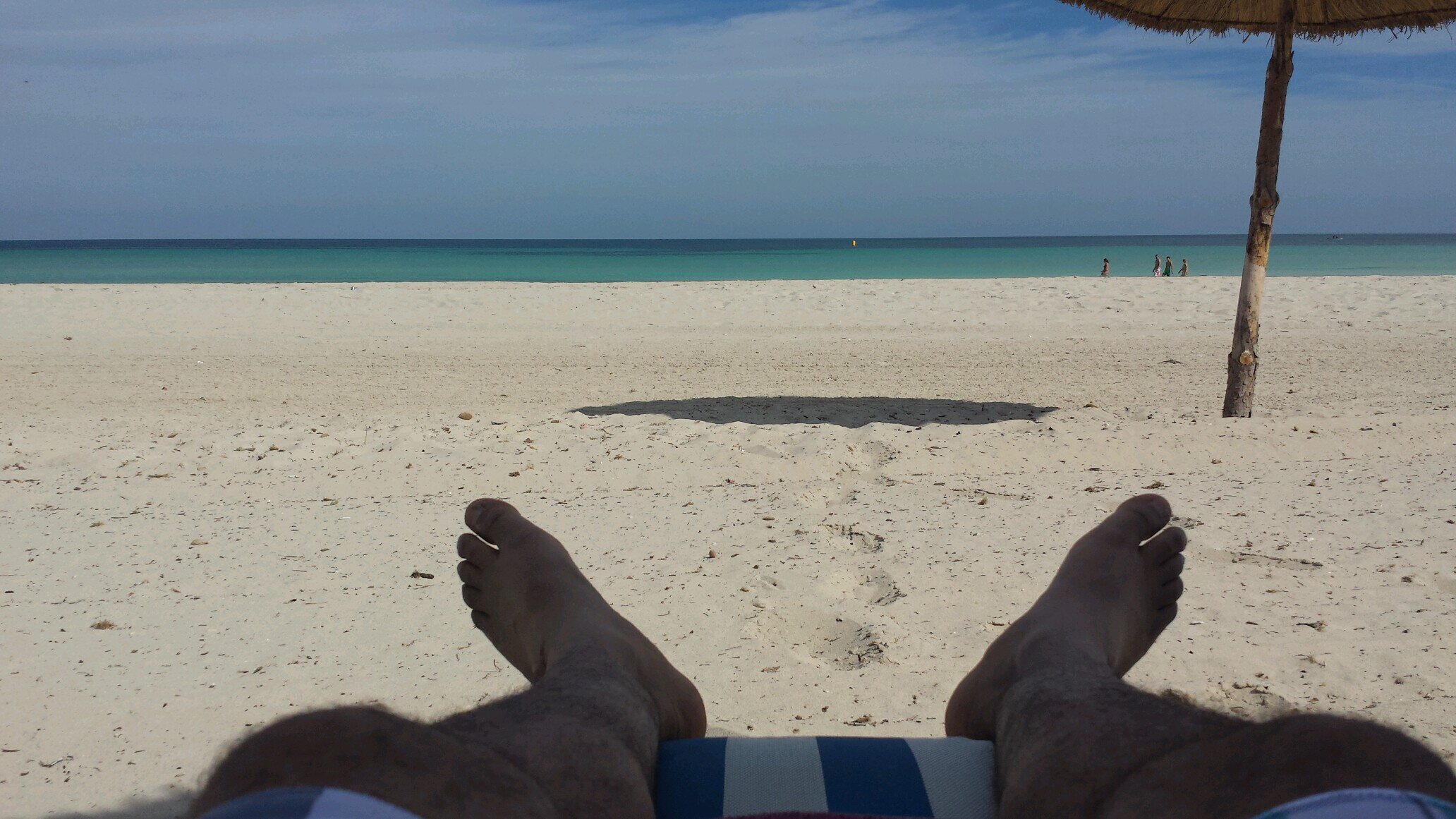 zenzi007's profile picture. 