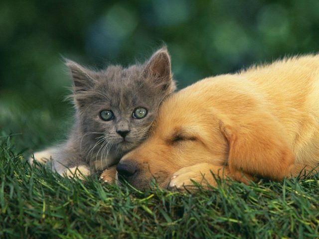 взаимный фолловинг, @axozsk, @Kkk887Tima, @tima887, @tsh1991, @Kk123Ms