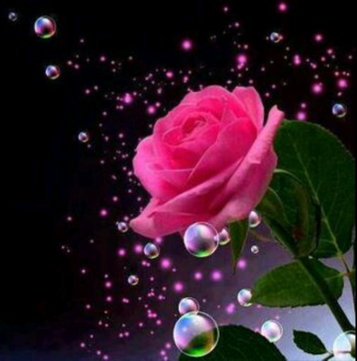‏‏‏‏‏‏‏‏‏‏‏‏‏‏‏‏‏‏‏‏♡ثقتي بهدفي تريني طريقي وااضحاا بﻻ لبس ♡ ♥الامل ♥التفائل ♥الحب ♥الرضى ♥الطموح *♥  يوم من الايام ليس بعيد سيكتب اسمي !!!