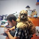 alejandro fort - @foooooolt - Twitter