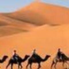 nayefbinmohamad's profile picture. 