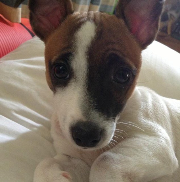 333Tallis's profile picture. 