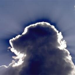 EL CIELO DE LOS PERROS ... ES DONDE MEJOR SE ESTÁ. LO JURO .... ***