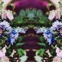 nourh altmymy (@000tttuuu) Twitter