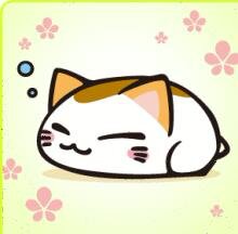 こちらのアカでは、無言フォローはブロックさせていただきます。