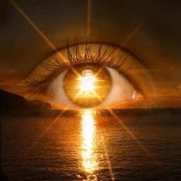 Mata_Lensa72's profile picture. 11 Des 2013 Seminar & Praktek Photography di Auditorium USM, 12 Des 2013 Pameran Photography