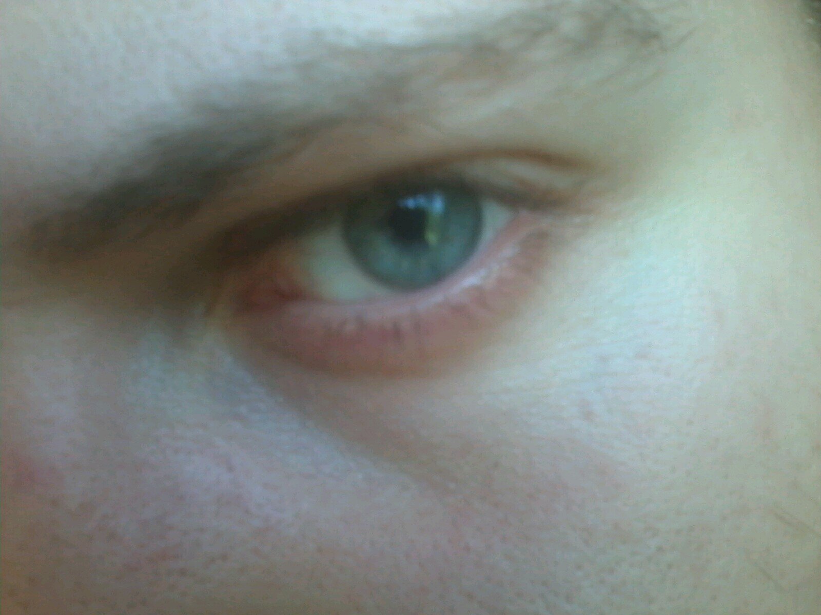 aarok_'s profile picture. Anarchist, FOSS&OpenHW Enthusiast, Wikipedia Editor, Information Crawler, Nerd, Network Technician, Free Thinker.