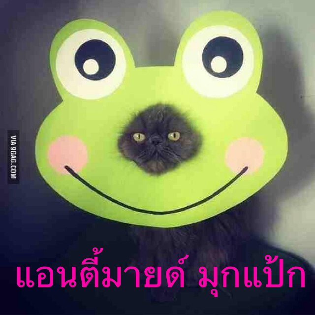 ความจริงแล้ว มายด์สวยและเป็นคนดีมาก